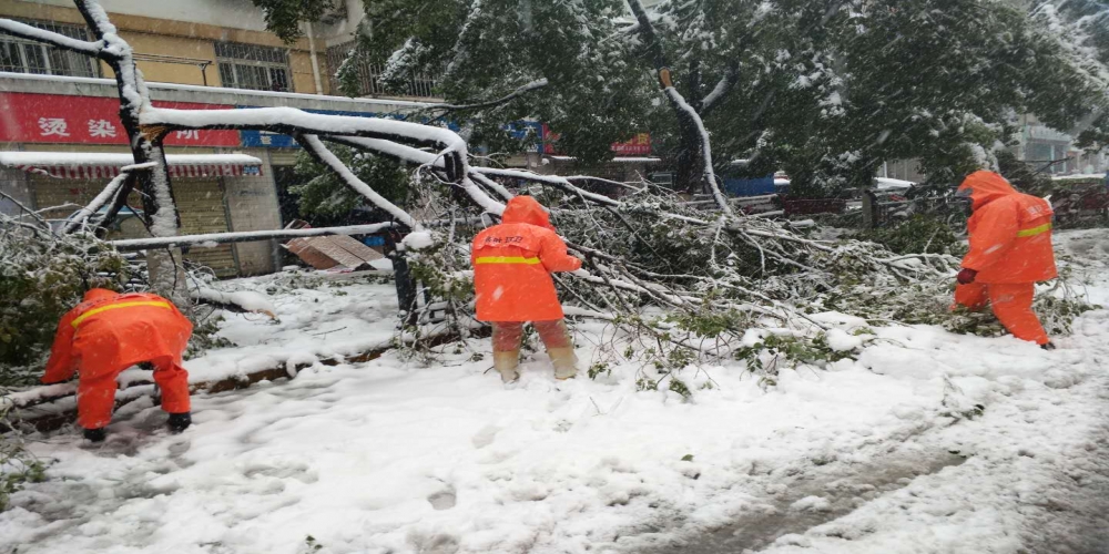 新站區(qū)道路清掃保潔、綠化管養(yǎng)項目